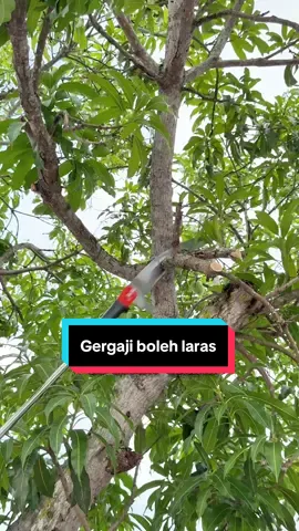 Senang betul pakai kerja cantas mencantas & trim dahan pokok tinggi senang 👏🏻 #gergaji #gergajibolehlaras #potongpokok #trimpokok #saw 
