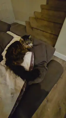 That pillow has seen better days 😅#fyp #skyrim #coins #quest 