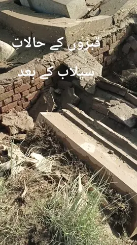 #foryoupage❤️❤️ #قبرستان😥 #shujabad #sailab #foryou 
