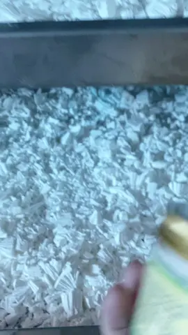 Tinh bột sâm tố nữ ở đây