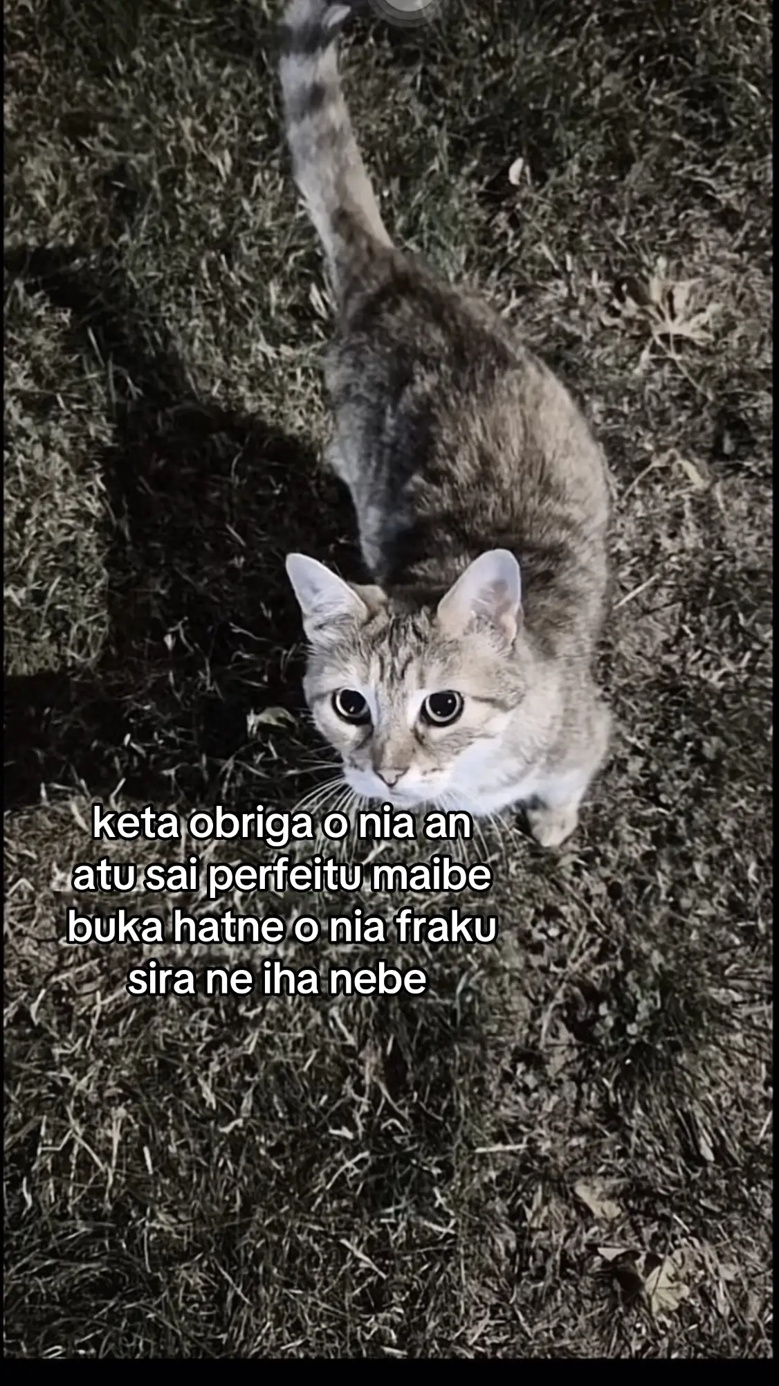 #sukagalau 🥀