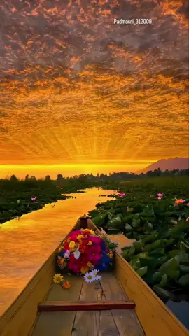 #💞🥀🎵☕🎼🌹💞 🌺#