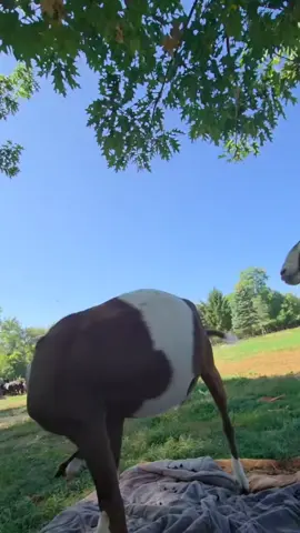 #CapCut #ฟิดดดดดดดดดดด🥺 #บ่าวร้อยเอ็ด 