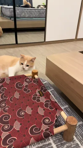Si nurut dan di baik… tapi sayang vt ga panjang keburu habis batrai