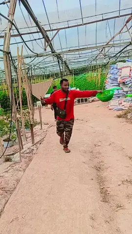 #foryoupage #viralvideo #বগুড়ার_ছ্যোল #সাপোট_করলে_সাপোট_পাবেন💯🌹🌹🌹💕💕👍 