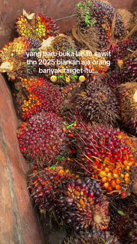 Semangat bolo💪🌴🌴🌴 #petanisawit #buahsawit #sawitontiktok #sawitriau #sawit 