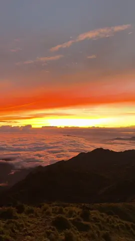 Bình minh Tà Chì Nhù sẽ là 1 trong những khung cảnh đẹp nhất trong những câu chuyện sau này của mình. #tachinhu #trekking 