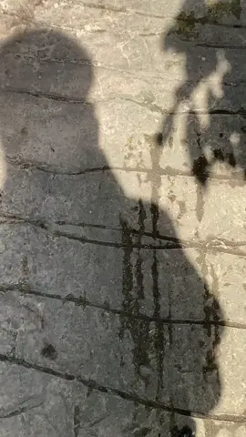 thee real cewe mhl😚#beatmodifikasi #foryoupage #beatring17style #xyzbca 