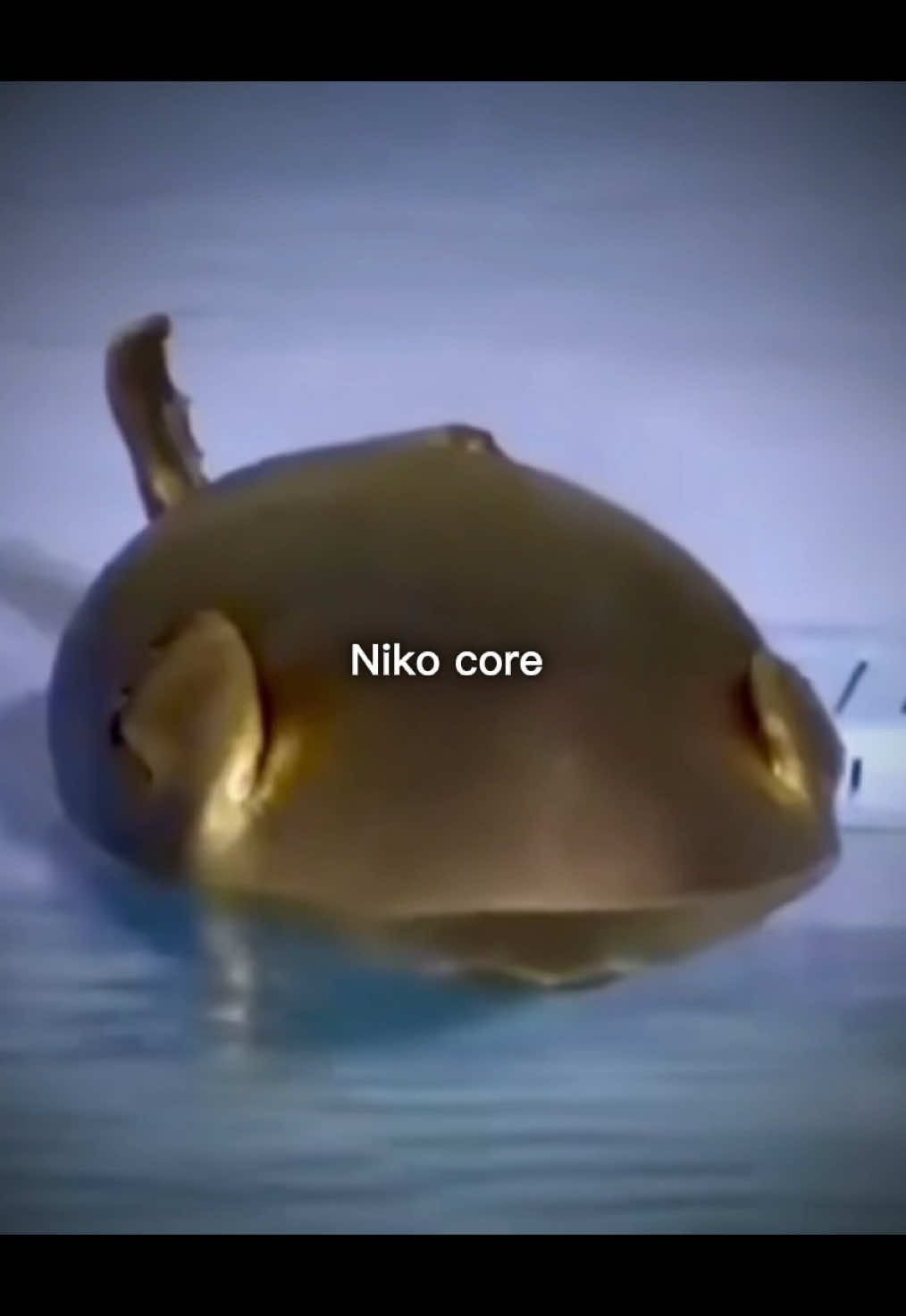 His chaos is my comfort. #sealtok #nikoseal #nikotoba #nicholastobias #fyp 