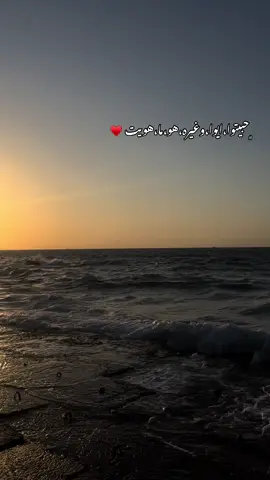 ﮼حبيبتوا،ايوا♥️ #سلطان_الطرب #ابو_وديع_سلطان_الطرب #جورج_وسوف_🔚ابو_وديع_سلطان_الطرب👑 #foryou #foryoupage 