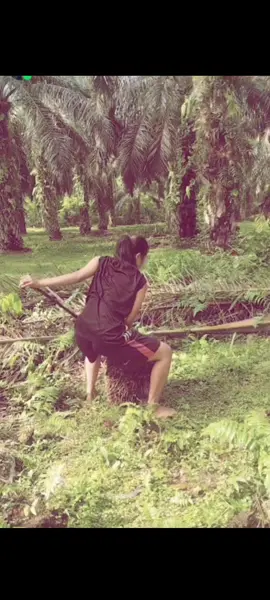 salfok sama buah sawit × salfok sama nomor celana √            🤣#fyp @jenot januarot🙈👻 @•^•bunaa hafidz 👶💗•^• 