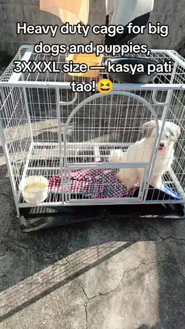Heavy Duty Dog and Cat Cages😍 #foryourpage #dogcage #cage #cat #furbaby 