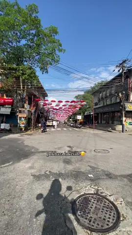 #creatorsearchinsights #pokharlekasaid