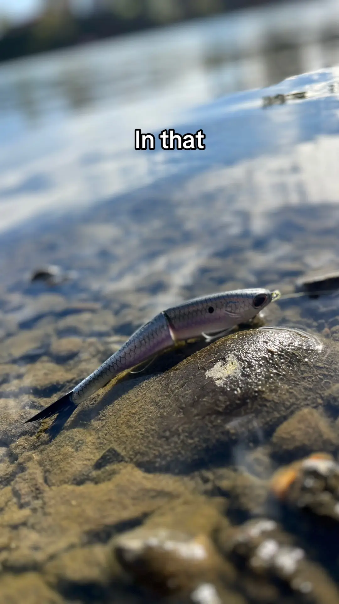 #fishing #oregon #bass #bassfishing #fyp 