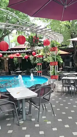 #xuhuongtiktok 