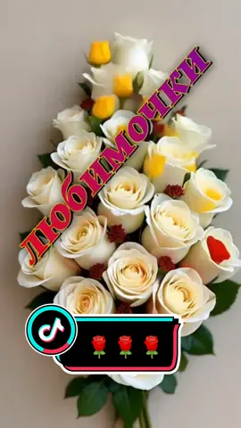 #тёплыеслова #коплименты #статуси #пожелания #сдобрымутром #tyrkmenistan🇹🇲 