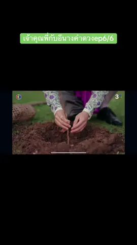 #เจ้าคุณพี่กับอีนางคําดวง #ดูย้อนหลัง #เทรนด์วันนี้  @丝丝 