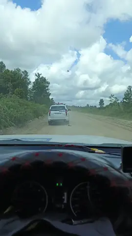 Laki-laki yang dikejar gosip