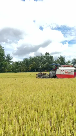 Sống lại rồi chú tư ơi #@võ Nguyễn #xhhhhhhhhhhhhhhhhhhhhhhh #xuhuongtiktok #xuhuong 