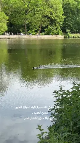 #بلجيكا🇧🇪  هذه العبارة تظل أجمل ماقيل  في تاريخ الشعر الحر العربي #محمود_درويش