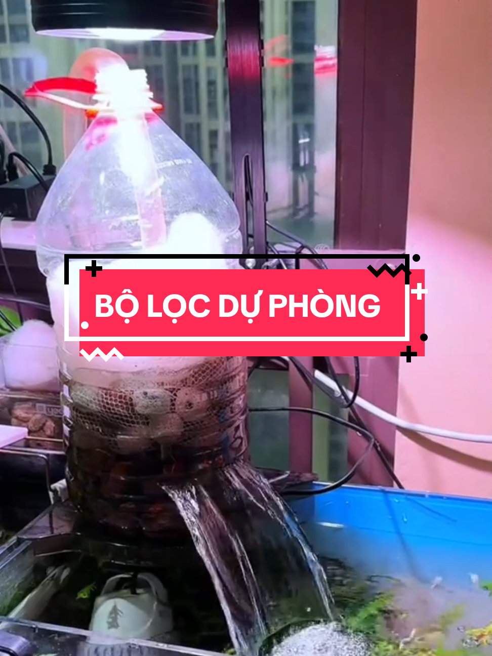 Cách làm bộ lọc dự phòng khi cần cách ly cá, hoặc máy lọc bị hư. #aquasetup #diyfishtank #lọchồcá #hồcá #aquarium 