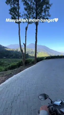 Indah banget🤍 #fyppppppppppppppppppppppp #telagasaat#jalantelagasaat #jalantelagasaatpuncak 