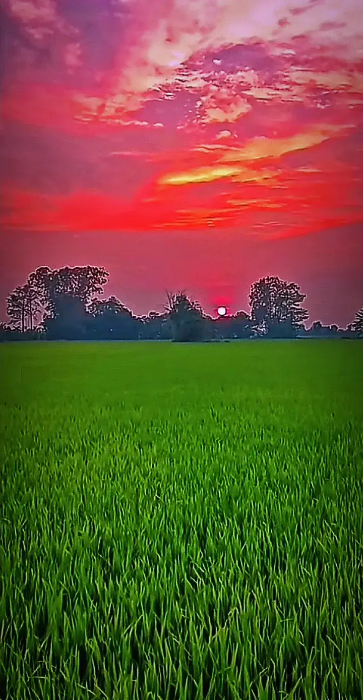 Chẳng Thà Đừng Quen Nhau Đừng Lưu Luyến Ban đầu  #nhachaymoingay #tamtrang #bolero #tinhyeu #xuhuong 