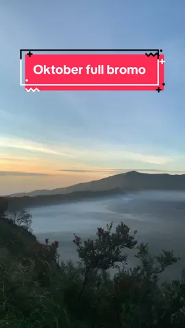 Mari kita wujudkan Oktober di Bromo itu.  #fyp #bromo #bromotenggersemeru #exploregunungbromo #bromotrip 