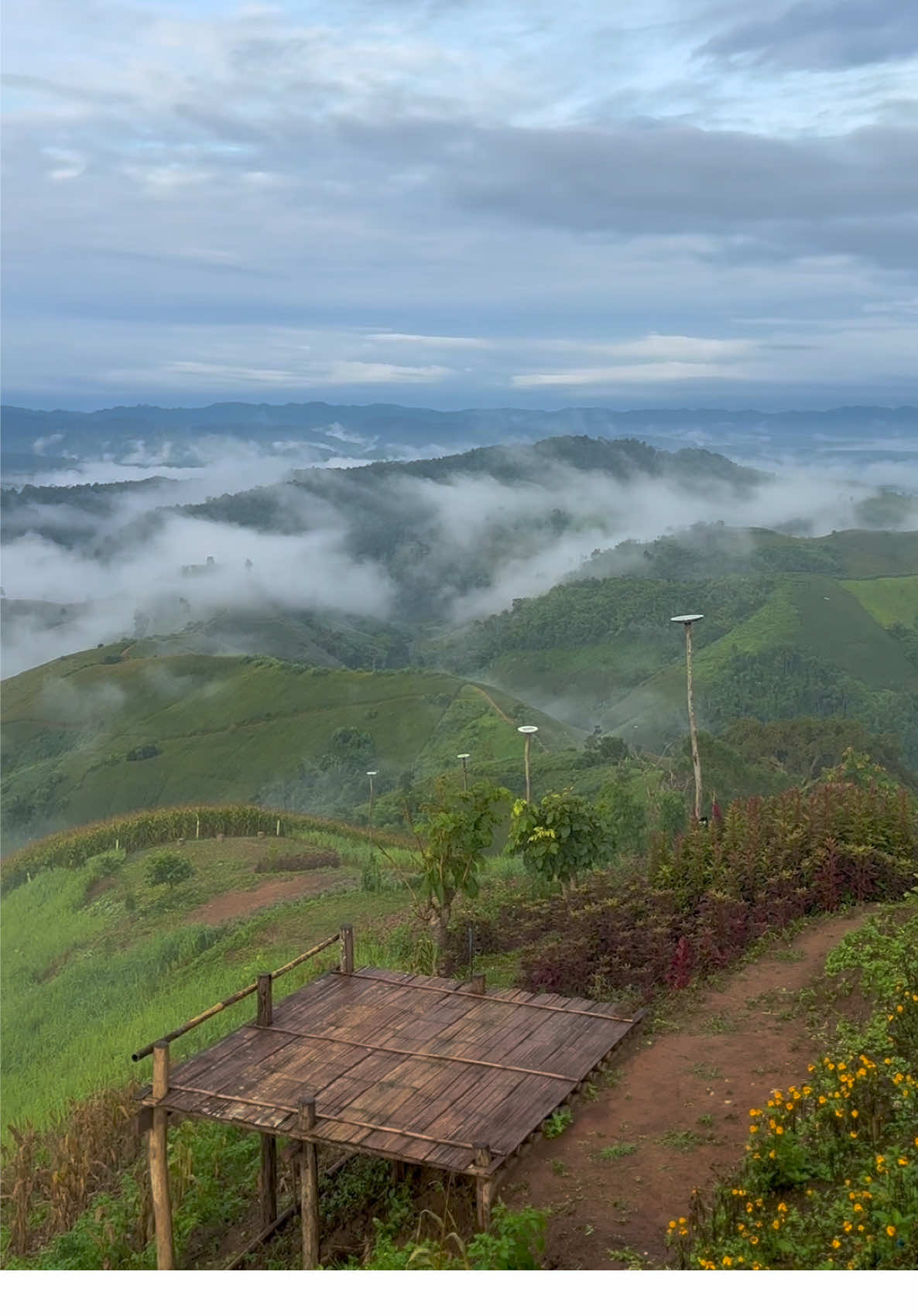 เป็นวิวแคมป์ปิ้งที่สวยมาก #แคมป์ปิ้ง #วิวภูเขาสวยๆ #ทะเลหมอก  