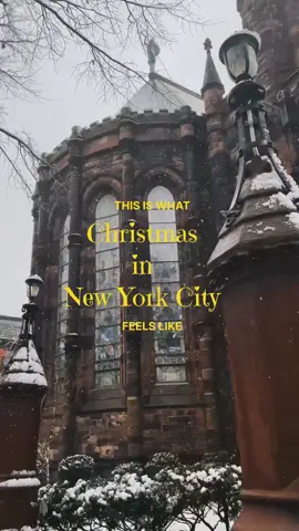 Christmas in New York City🎄🎅❄️🌨️🌉#christmasworld #TikTokChristmas #santaclaus #FYP #ChristmasEveFeels #ViralChristmas #XmasVibes #Christmas2025 #GlobalChristmas #merrychristmas #Xmas2025 #ChristmasTok #ChristmasVibes #SantaVibes 