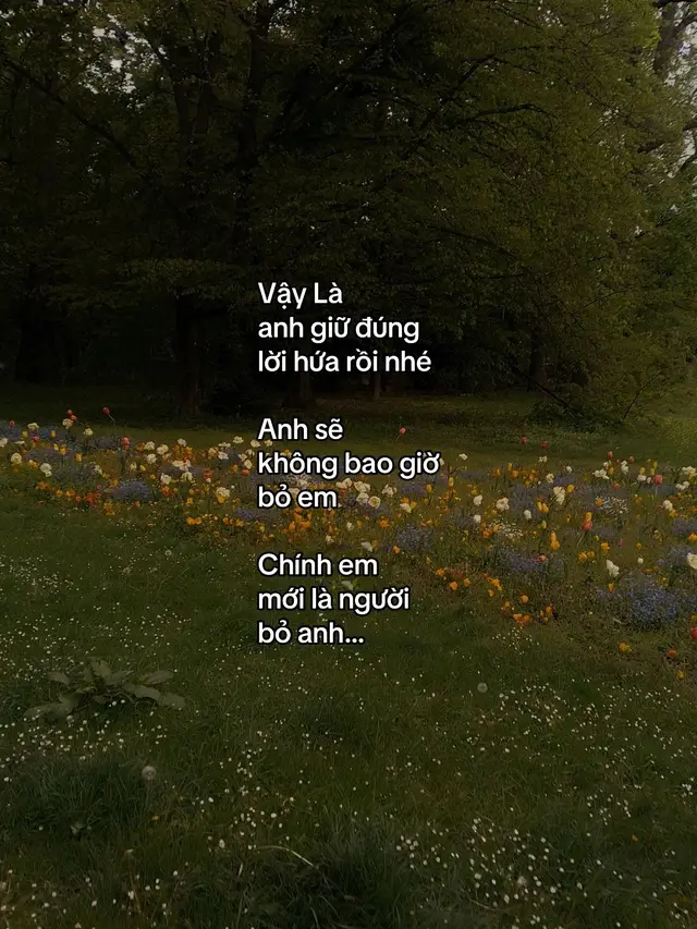 Vậy Là anh giữ đúng lời hứa rồi nhé…#xh #_hongquan0809 