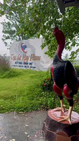 Gạo Nhớ Bố Huy Nhiều Lắm 😞