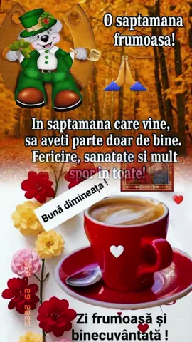 #creatorsearchinsights #saajungapeforyou #pyfツviral🦋 #5pasidebine #viralvideos 