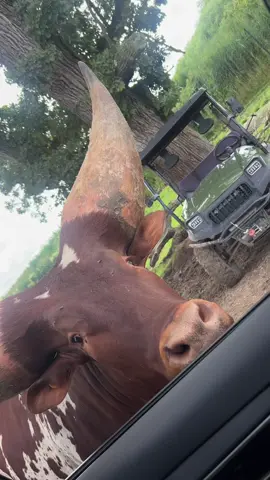 Amigaaaa😩😩🤣  #fyyp #paratii #amigaa 