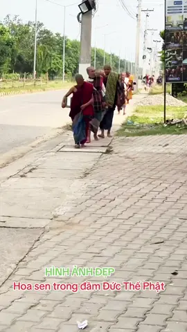 THẦY MINH TUỆ 29\9 HOA SEN CỦA PHẬT #conduonggiacngo #phatphapnhiemmau #foryou #thinhhanh #Love 