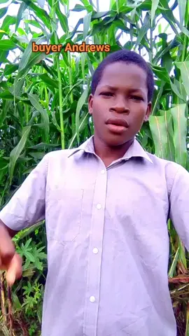 timorhino thank you. may God strengthen you 