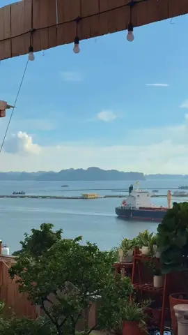 Bầu trời một ngày thu Hạ Long 🍁🍁🍁 #halong #viral #chill #healing 