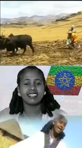 #videoviral #amlesetmuchie #youtube #teddyafro #ፍቅርብቻ🥀🦋💓🦋🕊️🔐🦋♥🥀👑💜💜💜💜💜💜🎧🎵 