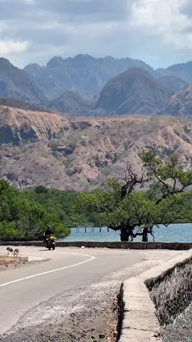 Setelah dari perbatasan Wini yang ada di Timor Tengah Utara, hari ini aku melanjutkan perjalanan lagi menuju perbatasan ke 4 atau perbatasan terakhir yaitu PLBN Motaain yang ada di kabupaten Belu.  Perjalanan menumpuh jarak 75km melewati jalan dengan view yang indah sekali, jalan belok2, sepanjang jalan kita akan di suguhkan pemandangan bukit2 savana yang sudah kuning serta jalan di pesisir pantai.  Akhirnya finish 4 perbatasan yaitu PLBN Motamasin, PLBN Napan, PLBN Wini dan PLBN Motaain. Jarak yang di tempuh dari PLBN pertama sampai PLBN ke empat Hampir 300km  So, stay tune terus untuk video selanjutnya 😇🙌🏻 #vespaindonesia #vespakuningan #vespacirebon #vespabandung #vespabogor #vespajakarta #vespajogja #vespabali #vespalombok #vespamakassar #vespamedan #vespapalembang #vespakalimantan #vespaaceh #vespapapua #vespamaluku #vespasulawesi #kelilingindonesia #BelajarBermainSambilNaikVespa #TourdePapua #solotouringkuninganpapua #orangkuningan #kuningan #plbnmotaain #atambua #ntt #nttpride🏝🔥 