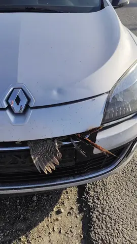 #fyp #смішнівідео 