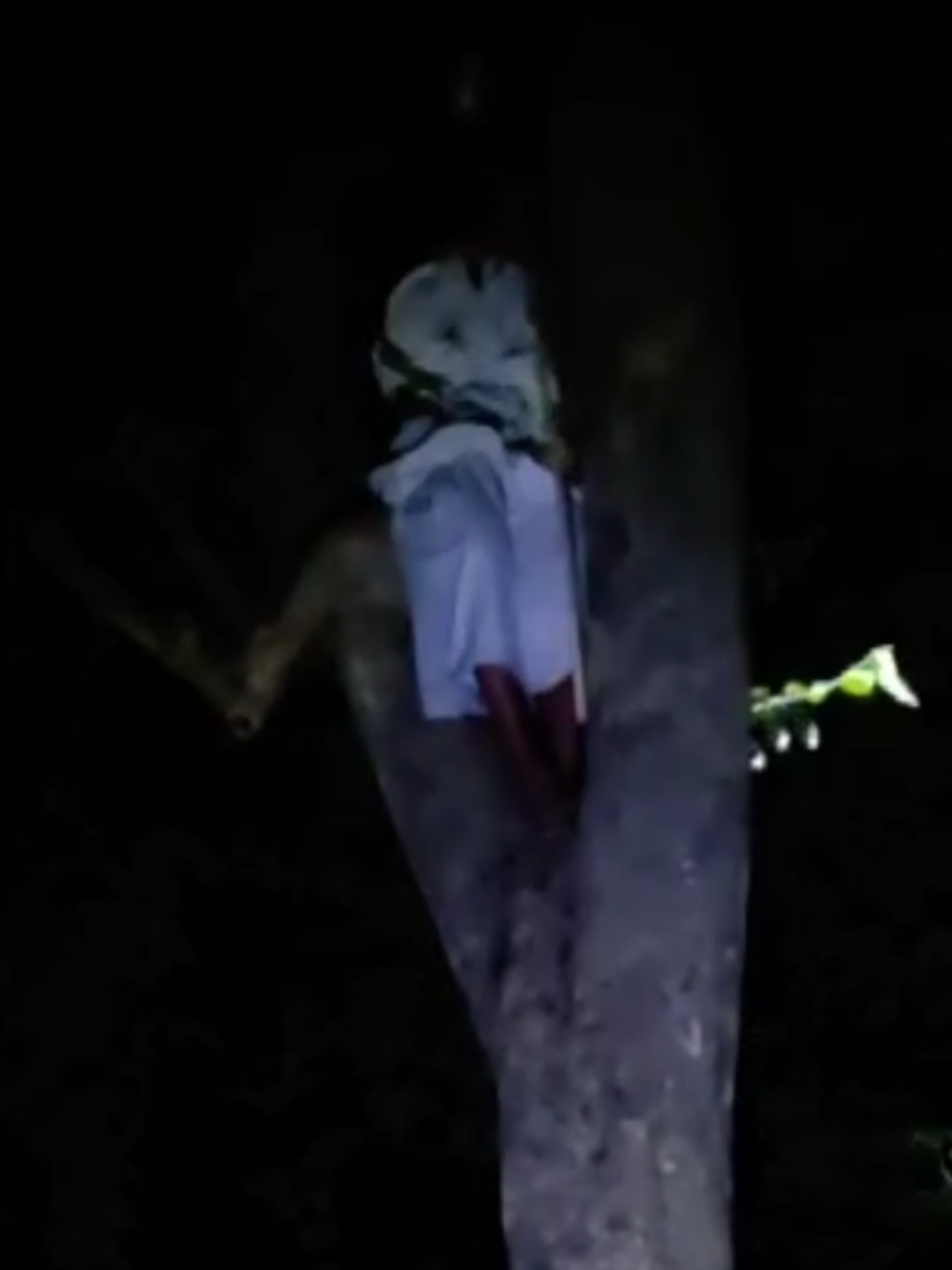 Sok sok jadi pocong giliran di ganggu PANIK🤣#hororkomedi #penampakan #hantu #hantuviral #pocong 