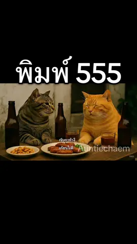 #fyp #ai #แมว #ส้มลาย #แมวอ้วน 