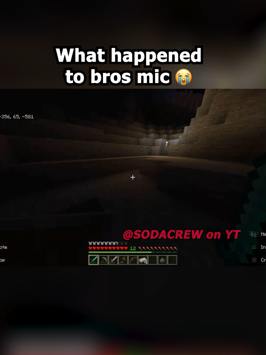 #minecraft #mic #funny #viral #silly #goofy #funnyvideo