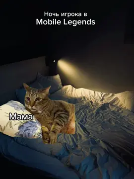 Оформите подписочку, будет контет #mobilelegends #мобайллегендс #mobilelegendsbangbang #mblbb #mobilelegendscreator 