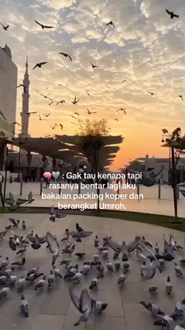 yuk percayakan perjalanan umroh biar lebih istimewa bersama arminareka perdana #umroh #makkahmadinah🕋 #makkah #arminarekaperdana #modalkontendoang 