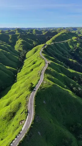 Bukit Tanarara. Sumba Apa yang anda pikirkan tentang bukit satu ini ? Bukit Tanarara di Sumba memang luar biasa 🌿. Kalau dipikirkan, Tanarara itu seperti lukisan alam yang hidup, hamparan bukit bergelombang, berubah warna mengikuti musim, dari hijau segar saat musim hujan hingga keemasan saat kemarau. Yang bikin makin istimewa, jalan-jalannya berliku di antara perbukitan itu terlihat sangat dramatis, seolah mengundang orang untuk terus berjalan dan menemukan kejutan di balik setiap tikungan. Banyak orang menyebut jalan di Tanarara sebagai salah satu jalan tercantik di dunia, karena bukan hanya sekadar jalur transportasi, tapi juga pengalaman visual yang menenangkan dan memukau. Sumba menunggumu. Siapkah kamu menjadikannya cerita terindah di perjalananmu ? Kita ada beberapa pilihan trip ke Sumba. Detailnya bisa kontak nomor yang tertera di Bio kita : Private Trip Start From 𝗜𝗗𝗥 𝟯.𝟮𝟱𝟬𝗞/𝗣𝗲𝗿𝘀𝗼𝗻 Open Trip Sumba 4D3N 𝗜𝗗𝗥 𝟯.𝟭𝟬𝟬𝗞/𝗣𝗲𝗿𝘀𝗼𝗻 𝗜𝗡𝗖𝗟𝗨𝗗𝗘 : - Meals during trip - Mineral Water - Car AC - Hotel AC - Tour guide - Documentation - Entrance fee - First aid kit 𝗘𝗫𝗖𝗟𝗨𝗗𝗘 : - Flight Ticket - Personal expenses - Facility upgrades 📩 𝗖𝗼𝗻𝘁𝗮𝗰𝘁 𝘂𝘀 𝗳𝗼𝗿 𝗱𝗲𝘁𝗮𝗶𝗹𝘀 & 𝗯𝗼𝗼𝗸𝗶𝗻𝗴 ᴅᴍ ɪɴꜱᴛᴀɢʀᴀᴍ | ᴡʜᴀᴛꜱᴀᴘᴘ: +𝟨𝟤 𝟪𝟧𝟣-𝟥𝟥𝟩𝟢-𝟧𝟤𝟨𝟤 #privatetripsumba #opentripsumba #sumba #exploresumba #sumbaisland 