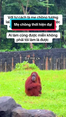 Các con cứ làm, ai làm cũng đc. Đừng bắt mẹ làm. Thén kìu =))) #VinWonders #GreenCreator #dulich #animals #83xz4gl 