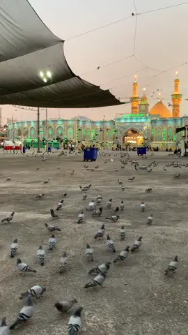 #دعاءيريح_القلوب_ويطمئن_النفوس #اللهم_صل_على_محمد_وآل_محمد 