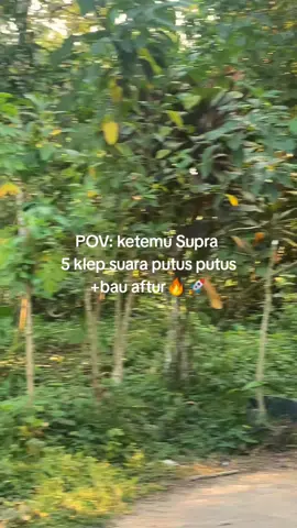 🗿 #fyp 
