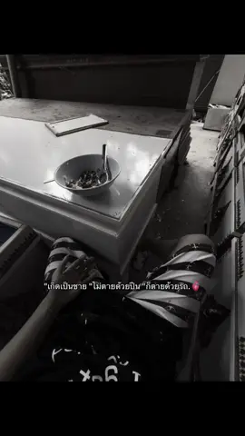 #ฟีแถอะ🚀❤️ #ขอร้องขึ้นฟีดเถอะ 